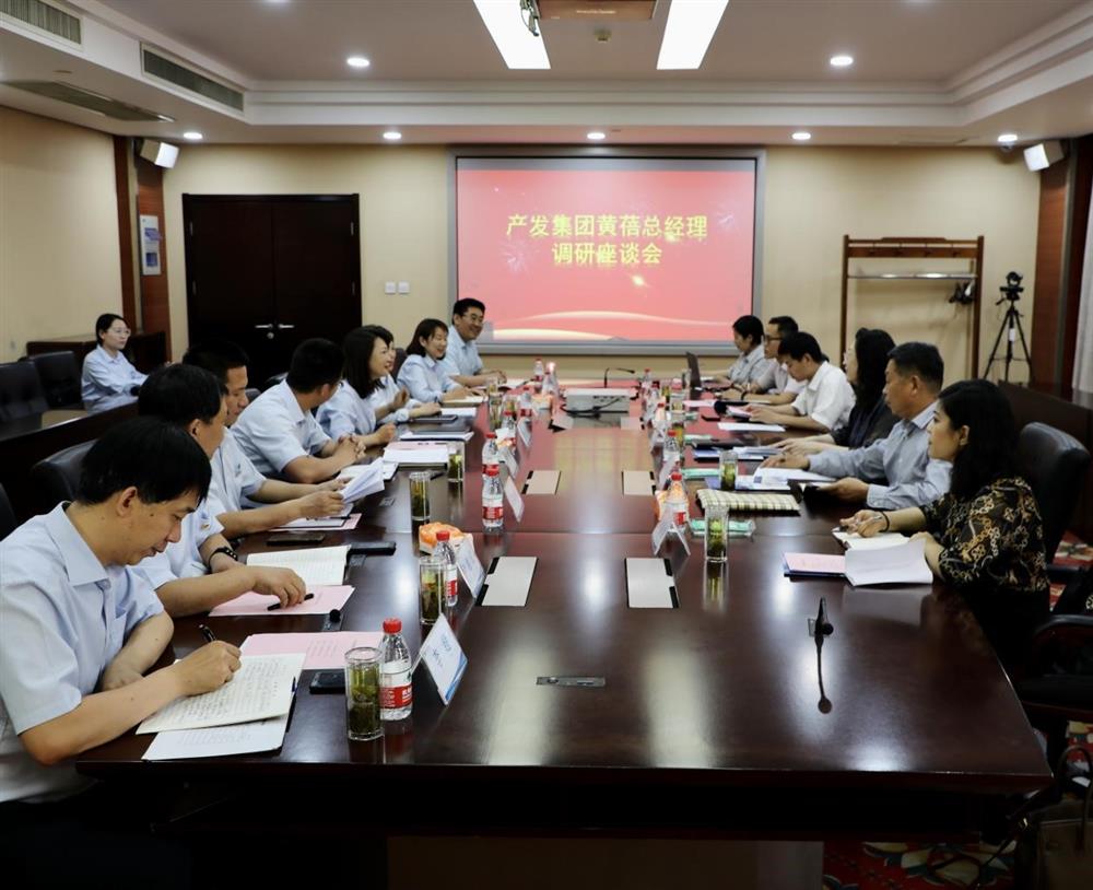 集團黨委副書記、總經(jīng)理黃蓓帶隊調(diào)研濟南市工程咨詢院